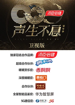 声生不息&middot;家年华卫视版