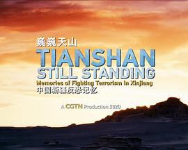 巍巍天山&mdash;&mdash;中国新疆反恐记忆