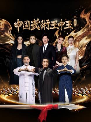 中国武术王中王第二季