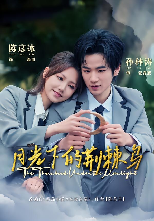 月光下的荆棘鸟